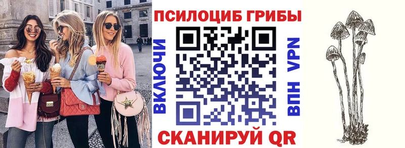 Галлюциногенные грибы GOLDEN TEACHER  наркотики  Урюпинск 