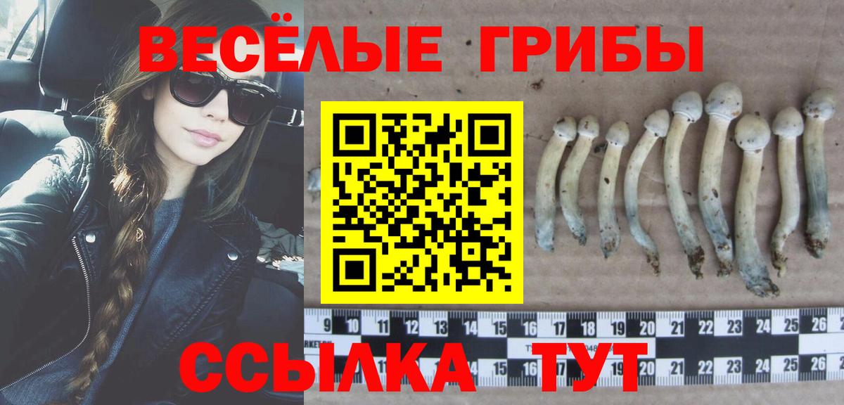 Псилоцибиновые грибы Cubensis  магазин  наркотиков  Урюпинск  Вход с VPN 