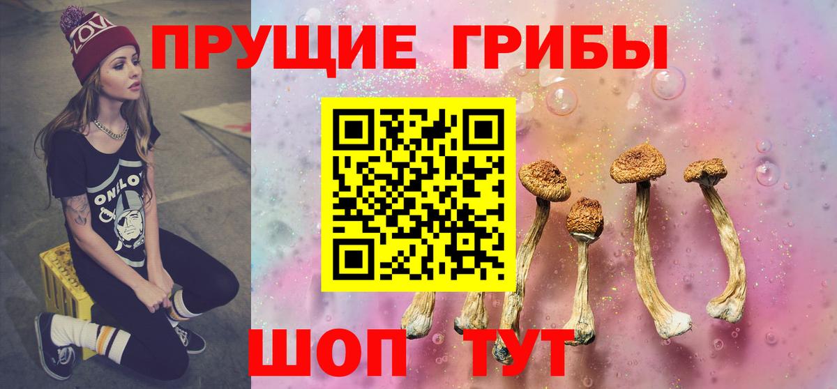 Псилоцибиновые грибы Cubensis  Урюпинск 