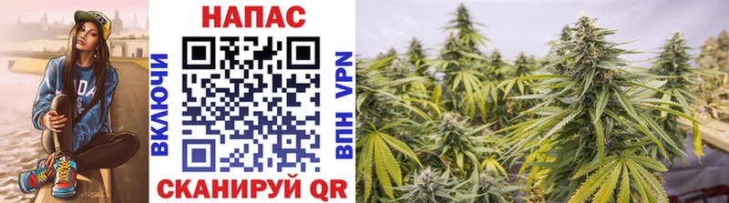 Канабис VHQ  Урюпинск 